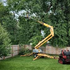 Best Leaf Removal  in Winthrop Harbor, IL